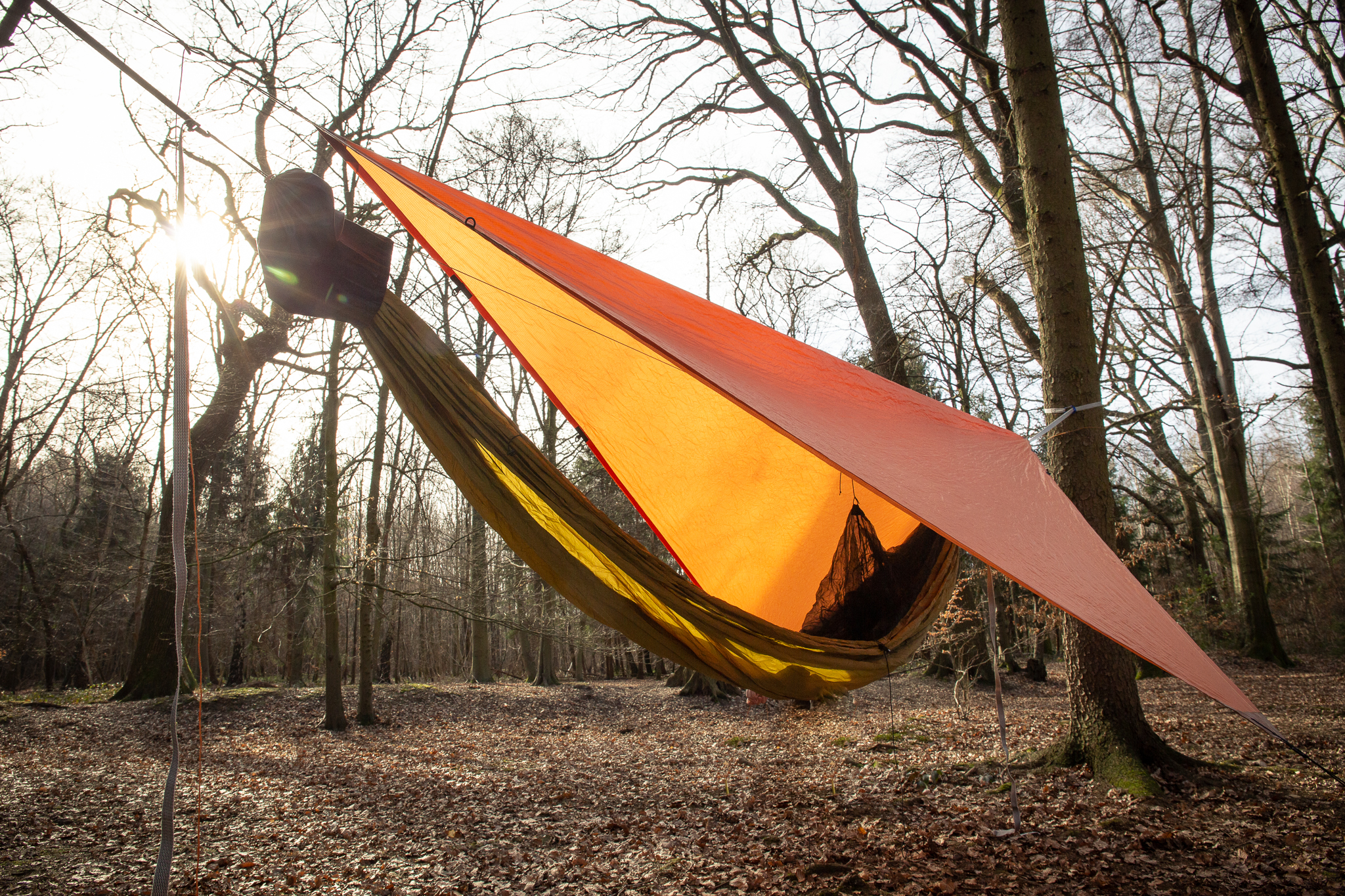 Im Wald schlafen, Hängematte und Tarp